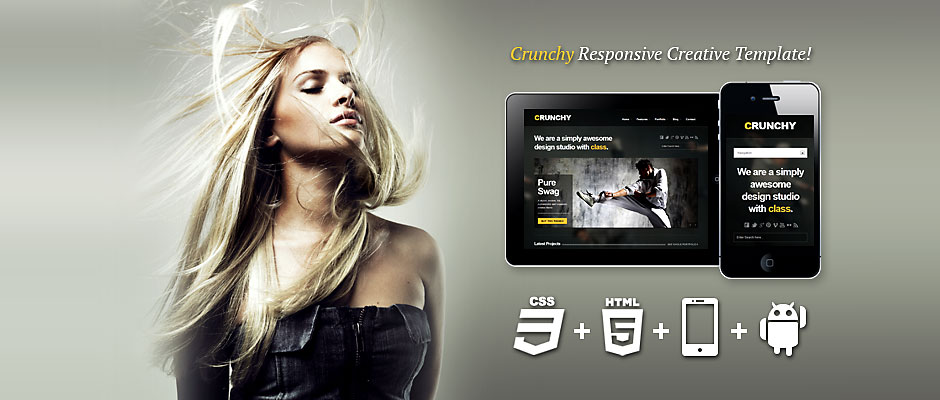 学习管理系统的免费ddos网页端