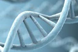 【软件评测报告】深度体验的在线DDOS平台攻击